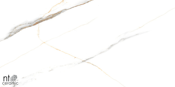 Керамогранит NT Ceramic Marmo Maritaca Statuario Ultra White 60x120