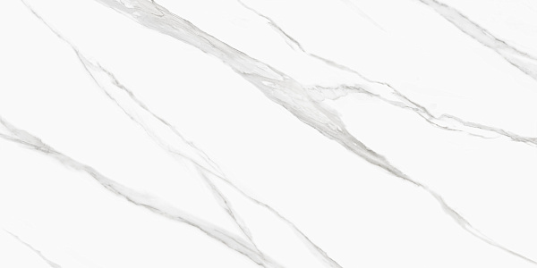 Керамогранит Delacora Life Calacatta матовый 60x120