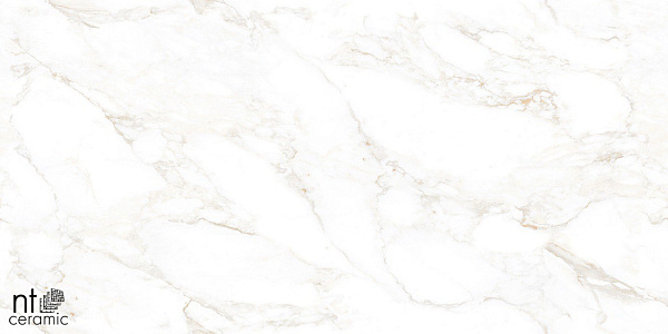 Керамогранит NT Ceramic Marmo Marble Extra Endless 60x120
