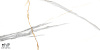 Керамогранит NT Ceramic Marmo Maritaca Statuario Ultra White 60x120